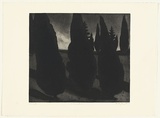 Artist: Johnstone, Ruth. | Title: Landscape garden | Date: 1985 | Technique: etching, printed in black ink, from one plate