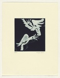 Artist: Law, Roger. | Title: Not titled [small cockatoos 2]. | Date: 2003 | Technique: aquatint, printed in blue/black ink, from one plate