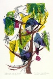 Artist: Brash, Barbara. | Title: Twelve-wired Birds of Paradise.  Six-plumed Birds of Paradise.. | Date: 1965 | Technique: screenprint, printed in colour, from nine stencils