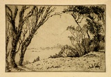 Artist: Bull, Norma C. | Title: Bestenoore. | Date: c.1940 | Technique: etching, printed in black ink with plate-tone, from one plate