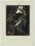Artist: PRESTON, Margaret | Title: Kookaburra | Date: 1930 | Technique: woodcut, printed in black ink, from one block; hand-coloured | Copyright: © Margaret Preston. Licensed by VISCOPY, Australia