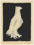 Artist: Rogers, John. | Title: Dove | Date: 1955 | Technique: screenprint, printed in colour, from two stencils