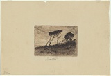 Artist: Mather, John. | Title: Ti-tree. | Date: 1898 | Technique: etching, roulette printed in brown ink with plate-tone, from one plate