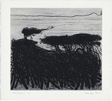 Artist: Kluge-Pott, Hertha. | Title: Melaleuka page 3. | Date: 2005 | Technique: etching and drypoint, printed in black ink with plate-tone, from one plate