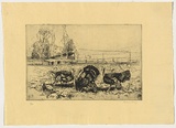 Artist: LONG, Sydney | Title: Turkeys and pumpkins | Date: 1925 | Technique: line-etching and drypoint, printed in black ink with plate-tone, from one copper plate | Copyright: Reproduced with the kind permission of the Ophthalmic Research Institute of Australia