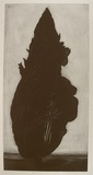 Artist: Johnstone, Ruth. | Title: Cypress I | Date: 1985 | Technique: etching, printed in black ink, from one plate