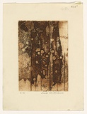 Artist: WILLIAMS, Fred | Title: Landscape panel. Number 1 | Date: 1962 | Technique: sugar aquatint, engraving and drypoint, printed in sepia ink, from one zinc plate | Copyright: © Fred Williams Estate