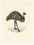 Artist: ROSE, David | Title: Emu plate | Date: 1986 | Technique: aquatint, printed in black ink, from one plate; hand-coloured