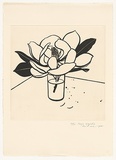 Artist: ROSE, David | Title: Large magnolia | Date: 1984 | Technique: aquatint, printed in black ink, from one plate