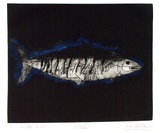 Artist: Shepherdson, Gordon. | Title: The Mackerel: Number three | Date: 1979 | Technique: etching and aquatint, printed in colour with plate-tone, from one plate