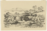 Artist: Parsons, Elizabeth. | Title: Near Maffra | Date: 1882 | Technique: lithograph, printed in black ink, from one stone
