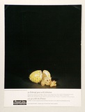Artist: Bainbridge, John. | Title: French Line: as Faberge goes with fabulous. | Date: c.1961 | Technique: photo-lithograph