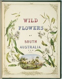 Artist: De Mole, Fanny. | Title: Title page: Wild flowers of South Australia. | Date: 1861 | Technique: lithograph, printed in black ink, from one stone; hand-coloured