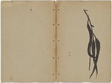 Artist: Rede, Geraldine. | Title: not titled [Gum leaves] | Date: 1909 | Technique: woodcut, printed in black ink in the Japanese manner, from one block