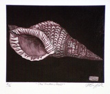 Artist: GRIFFITH, Pamela | Title: The triton shell | Date: 1981 | Technique: etching, printed in black ink, from one plate | Copyright: © Pamela Griffith