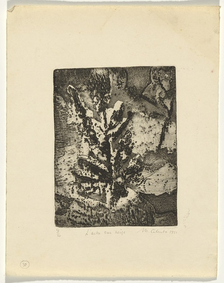 Artist: CILENTO, Margaret | Title: L'arbre sur neige. | Date: 1951 | Technique: etching and aquatint, printed in black ink, from one plate Artist: CILENTO, Margaret | Title: L'arbre sur neige. | Date: 1951 | Technique: etching and aquatint, printed in black ink, from one plate