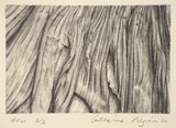 Artist: Pilgrim, Catherine. | Title: not titled [abstract pleats] | Date: 2000, July | Technique: lithograph, printed in black ink, from stone