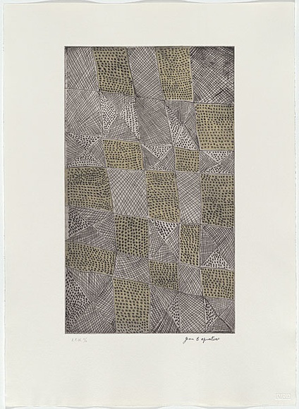 Artist: Apuatimi, Jean Baptiste (Pulukatu) | Title: Parlini jilamara | Date: 1999, May-June | Technique: etching, printed in colour in intaglio and relief, from one plate and one stencil | Copyright: © Jean Baptist Apuatimi, Licensed by VISCOPY, Australia