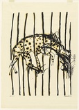 Artist: Whiteley, Brett. | Title: Hyena | Date: 1965 | Technique: screenprint, printed in colour, from two stencils | Copyright: This work appears on the screen courtesy of the estate of Brett Whiteley