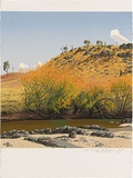 Artist: ROSE, David | Title: Autumn at MacQuarie River | Date: 1993 | Technique: screenprint, printed in colour, from multiple stencils
