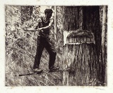 Artist: Warner, Alfred Edward. | Title: Feller | Date: 1935 | Technique: etching, printed in black ink, from one copper plate