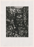 Artist: MAKIN, Jeffrey | Title: Bricklyn Falls | Date: 2001 | Technique: etching, printed in black ink, from one plate