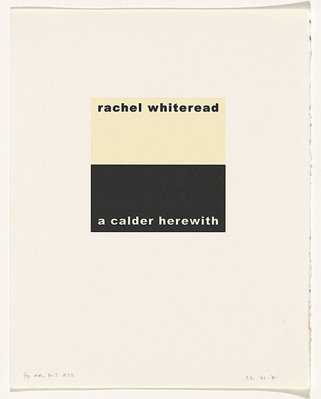 Artist: BURGESS, Peter | Title: rachel whiteread: a calder herewith. | Date: 2001 | Technique: computer generated inkjet prints, printed in colour, from digital file Artist: BURGESS, Peter | Title: rachel whiteread: a calder herewith. | Date: 2001 | Technique: computer generated inkjet prints, printed in colour, from digital file