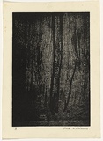 Artist: WILLIAMS, Fred | Title: In the forest, Mittagong | Date: 1958 | Technique: etching, printed in black ink, from one plate | Copyright: © Fred Williams Estate