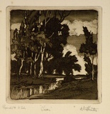 Artist: Hunter, William. | Title: Trees | Date: 1940s | Technique: etching and aquatint, printed in brown ink, from one plate