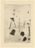 Artist: WILLIAMS, Fred | Title: Gum trees in landscape, Lysterfield | Date: 1965-66 | Technique: sugarlift-aquatint, engraving, and open biting, printed in black ink, from one copper plate | Copyright: © Fred Williams Estate