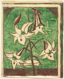 Artist: Syme, Eveline | Title: Filipino lily | Date: 1958 | Technique: linocut, printed in colour, from two blocks (terra verte, burnt sienna)