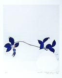 Artist: ROSE, David | Title: Camellia - study for vase in cobalt | Date: 1980 | Technique: aquatint, printed in black ink, from one plate; watercolour additions