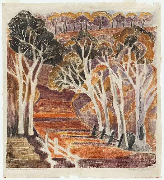 Artist: PRESTON, Margaret | Title: The red road to Mulgoa. | Date: 1944 | Technique: woodcut, printed in colour, from one masonite block | Copyright: © Margaret Preston. Licensed by VISCOPY, Australia