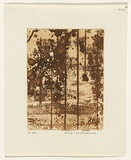 Artist: WILLIAMS, Fred | Title: Landscape panel. Number 5 | Date: 1962 | Technique: aquatint, drypoint and engraving, printed in sepia ink from one copper plate | Copyright: © Fred Williams Estate