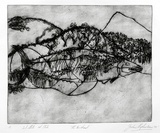 Artist: Shepherdson, Gordon. | Title: The Mackerel: Number eleven | Date: 1979 | Technique: etching and aquatint, printed in colour with plate-tone, from one plate