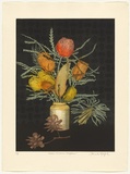 Artist: GRIFFITH, Pamela | Title: Western Australian Wild Flowers | Date: 1987 | Technique: hardground-etching and aquatint, printed in colour, from two zinc plates | Copyright: © Pamela Griffith