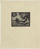 Artist: LINDSAY, Lionel | Title: Golden pheasant | Date: 1922 | Technique: wood-engraving, printed in black ink, from one block | Copyright: Courtesy of the National Library of Australia