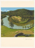 Artist: ROSE, David | Title: Mangrove Creek | Date: 1984 | Technique: screenprint, printed in colour, from multiple stencils