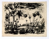 Artist: Grieve, Robert. | Title: Swamp landscape | Date: 1957 | Technique: lithograph, printed in black ink, from one stone