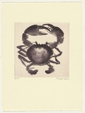 Artist: Law, Roger. | Title: Not titled [small crab]. | Date: 2002 | Technique: aquatint, printed in dark purple ink, from one plate