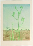 Artist: GRIFFITH, Pamela | Title: Australiana I | Date: 1979 | Technique: etching, aquatint, drypoint, soft ground from two zinc plates | Copyright: © Pamela Griffith