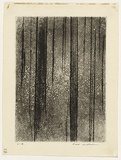 Artist: WILLIAMS, Fred | Title: Red trees | Date: 1958 | Technique: etching, aquatint, engraving and drypoint, printed in black ink, from one copper plate; counterproof | Copyright: © Fred Williams Estate