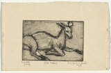 Artist: Cilento, Margaret. | Title: Doe resting. | Date: 1948 | Technique: etching, printed in black ink with plate-tone, from one  plate