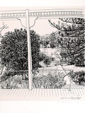 Artist: ROSE, David | Title: From the verandah at 'Hillside' (Ourimbah) | Date: 1991 | Technique: screenprint, printed in colour, from multiple stencils