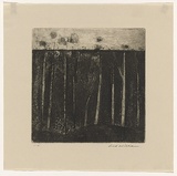 Artist: WILLIAMS, Fred | Title: Gum trees at Colo Vale | Date: 1958 | Technique: etching, aquatint, engraving and drypoint, printed in black ink, from one copper plate | Copyright: © Fred Williams Estate