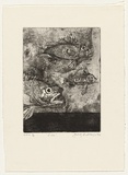 Artist: Andrews, Garry. | Title: Fish | Date: 1992, October | Technique: etching and aquatint, printed in black ink, from one plate | Copyright: © Garry Andrews. Licensed by VISCOPY, Australia