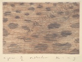 Artist: KING, Martin | Title: Rainshadow | Date: 2000, November | Technique: engraving, printed in colour from two perspex plates