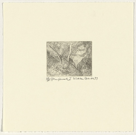 Artist: Robinson, William. | Title: Springbrook 1 | Date: 1999 | Technique: etching, printed in brown ink, from one plate