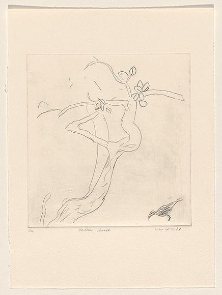 Title: Hakea bush | Date: 1983 | Technique: drypoint, printed in black ink, from one perspex plate