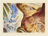 Artist: Robinson, William. | Title: Late sunlight and afternoon cloud, Beechmont | Date: 1993 | Technique: lithograph, printed in colour, from multiple plates